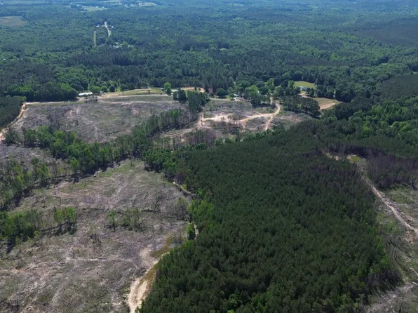 0 Tree Farm Rd, Sulligent, AL 35586