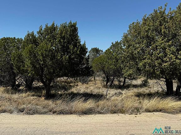 3rd image of 48 Turkey Canyon Rd
