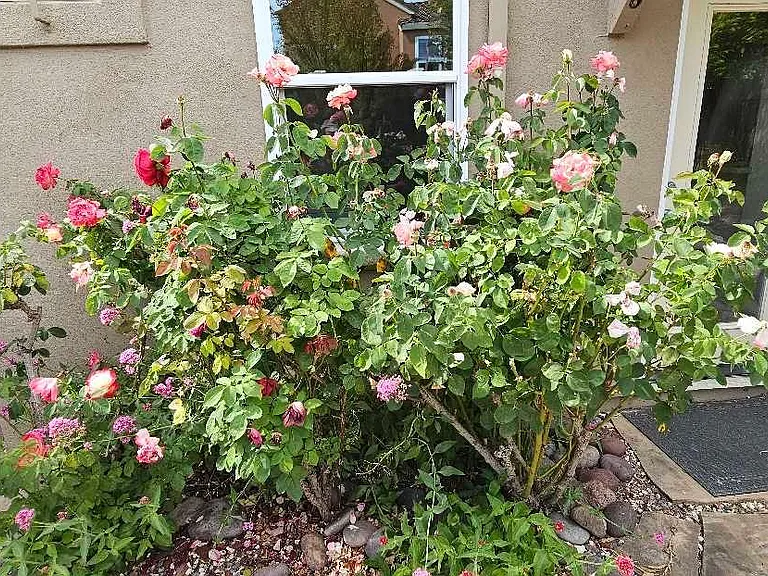 Arnold Dr — Photo 25