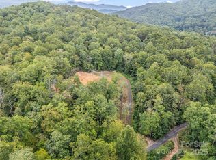 16 Wildcat Ridge Dr, Fairview, NC 28730