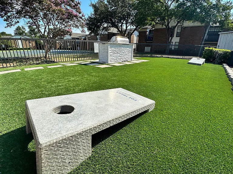 Cornhole Area