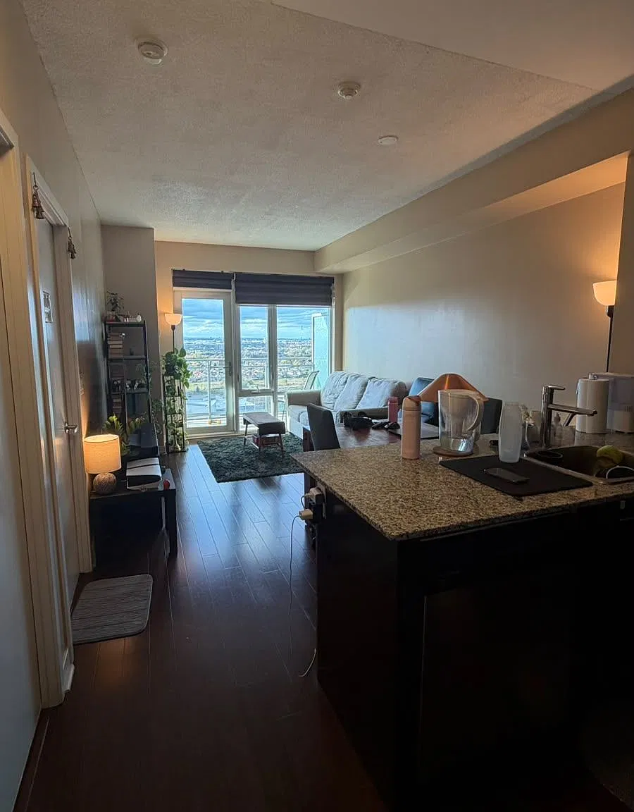 2 bed, $2,350 — Photo 3