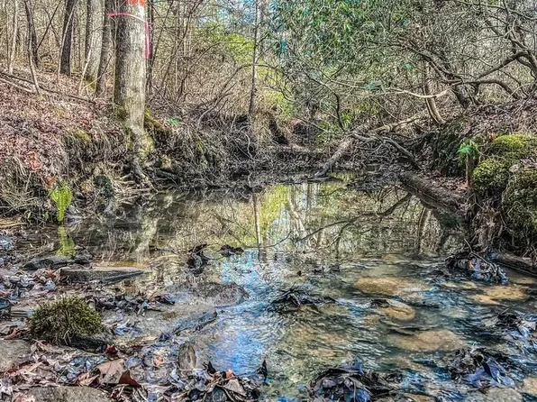 Nashville Ave, Deer Lodge, TN 37726