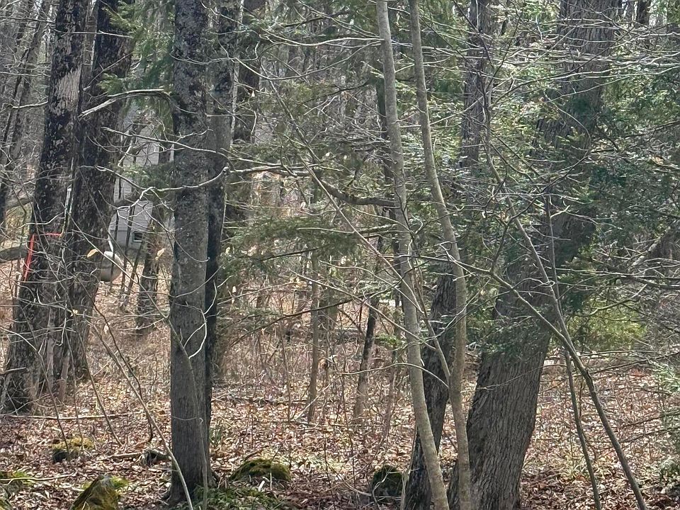2nd image of 0 George Schnopp Rd
