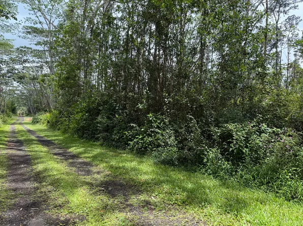 Plumeria Rd Lot 169, Pahoa, HI 96778