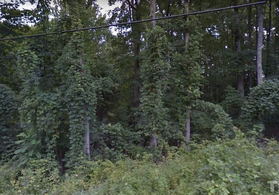 1st image of 2206 Mont Haven Dr