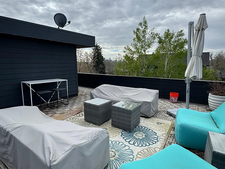 View from other side of roof deck - can see downtown Denver behind trees.