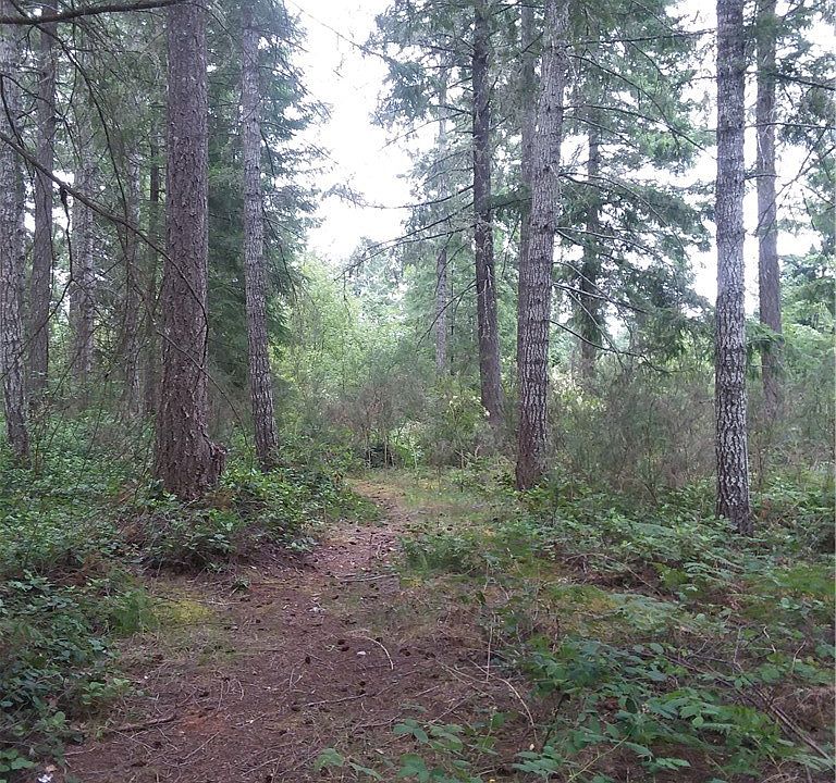 2nd image of 80 NE Mast Rd