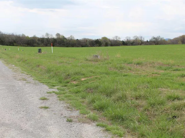 527-00000-000 Lydia Ln, Flippin, AR 72634