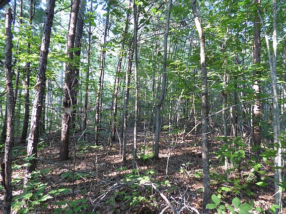 5th image of 4 Powdermill Estates Rd