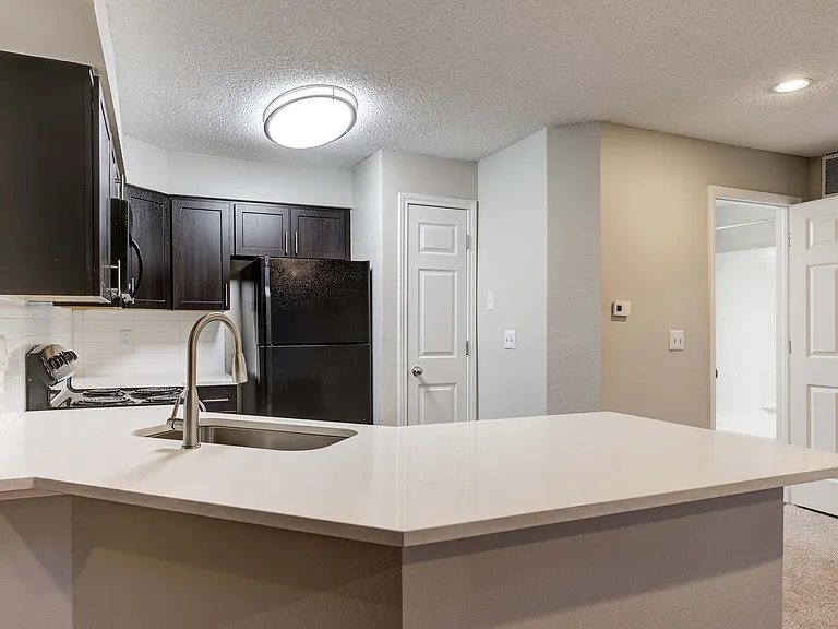 Modern kitchen with sleek dark cabinets, a stylish countertop, and contemporary lighting.