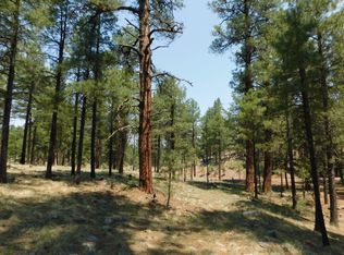 396 Long Valley Rd, Happy Jack, AZ 86024