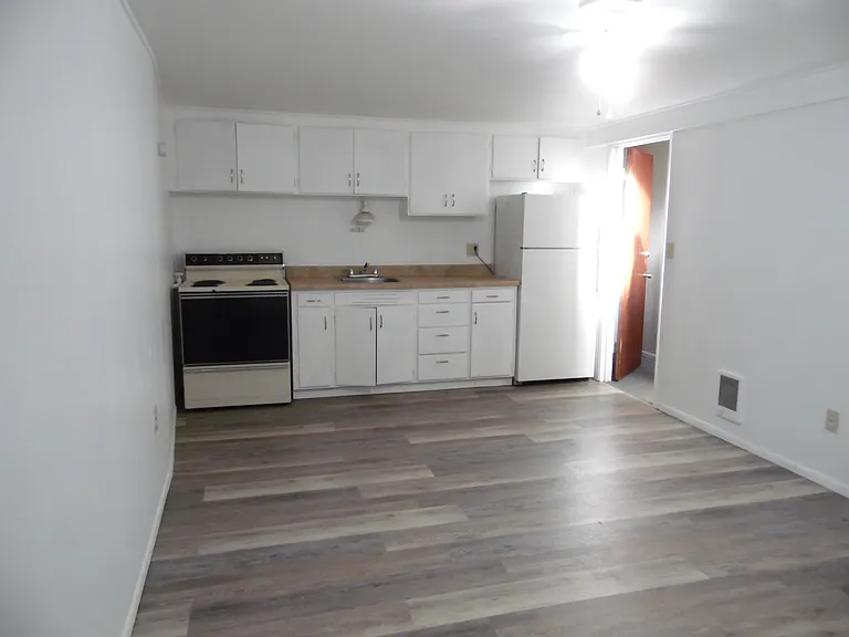 Welcome to your new apartment! The open living area provides you with space for a dinning area and living room. The kitchen has a full size stove/oven and refrigerator. Look at all the cabinet space in the kitchenet. The flooring is new luxury vinyl.