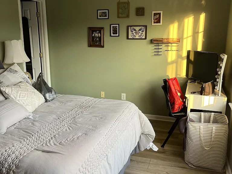 Various furnished pics