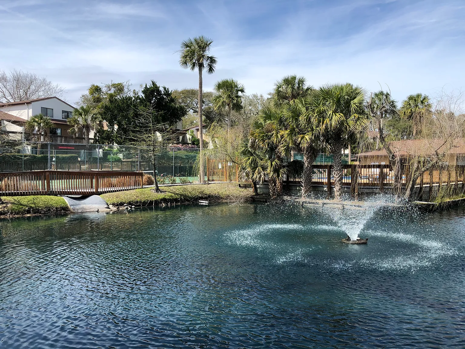 2 bed, 1.5 bath, 1113 sqft, $3,000 — Photo 1