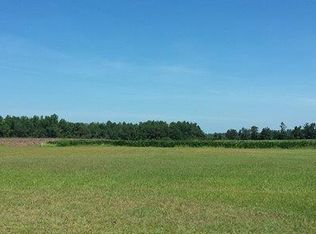 1190 Floyd Page Rd, Galivants Ferry, SC 29544