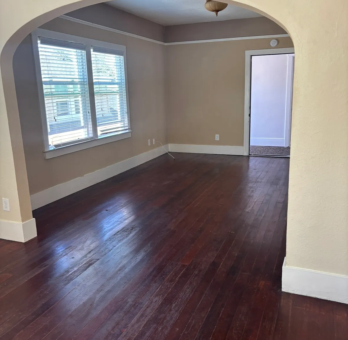 1 bed, 800 sqft, $1,500 — Photo 4