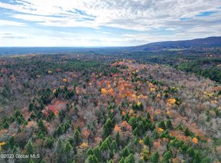 154 Alpine Meadows Rd, Porter Corners, NY 12859