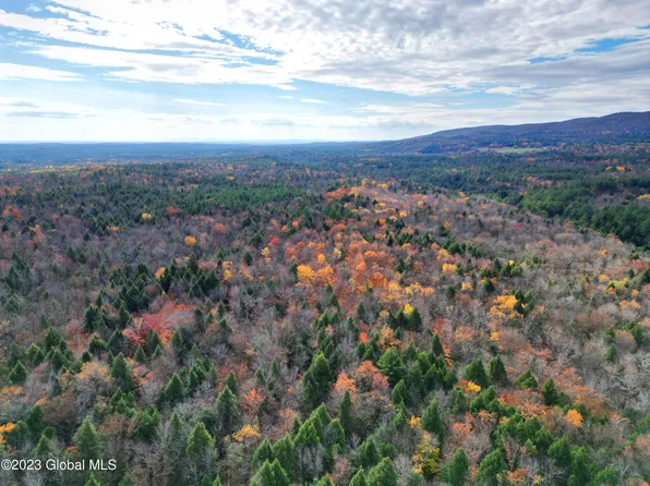 154 Alpine Meadows Road, Porter Corners, NY 12859