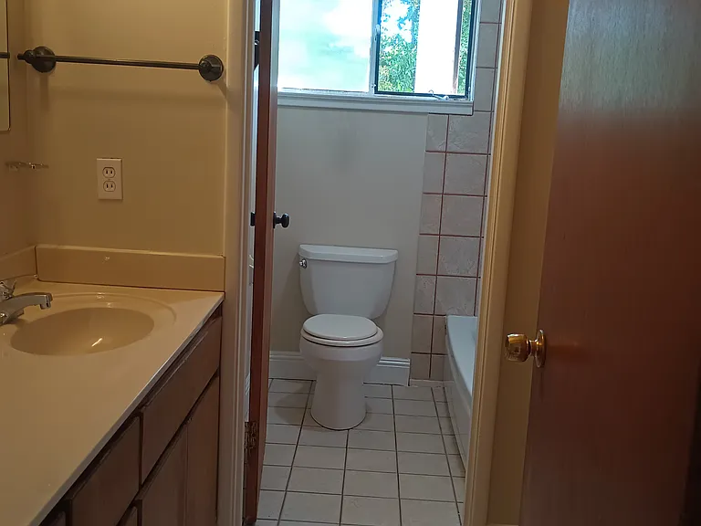 Hall bathroom, shower over tub