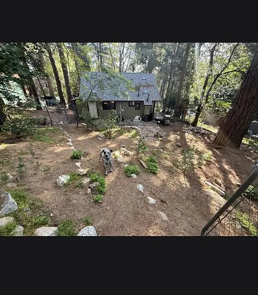 22927 Crest Forest Dr — Photo 10