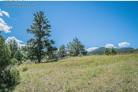 5th image of 970 Elk Ridge Ct