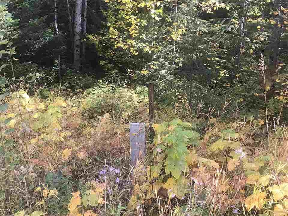2nd image of 0 Lime Lake Rd