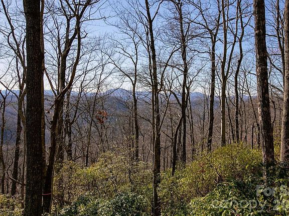 2nd image of Oak Ridge Rd #17