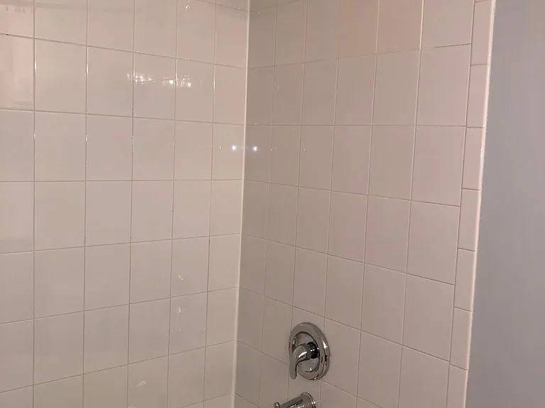 New Grohe Shower Head
& Moen Tub Spout