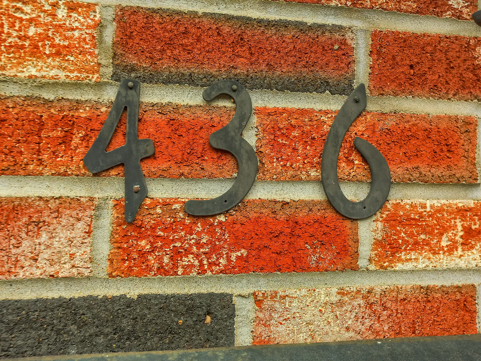 2 bed, 800 sqft, $1,095 — Photo 3