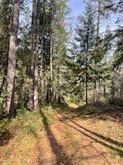 2nd image of 178 Bloomer Hill Rd