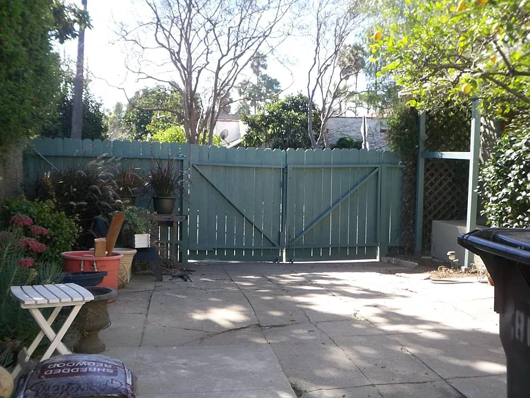 Back yard