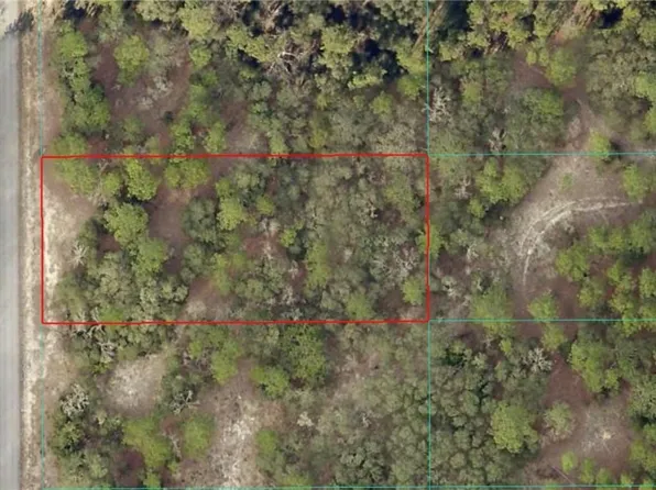 SW Breezy Point Dr, Dunnellon, FL 34431