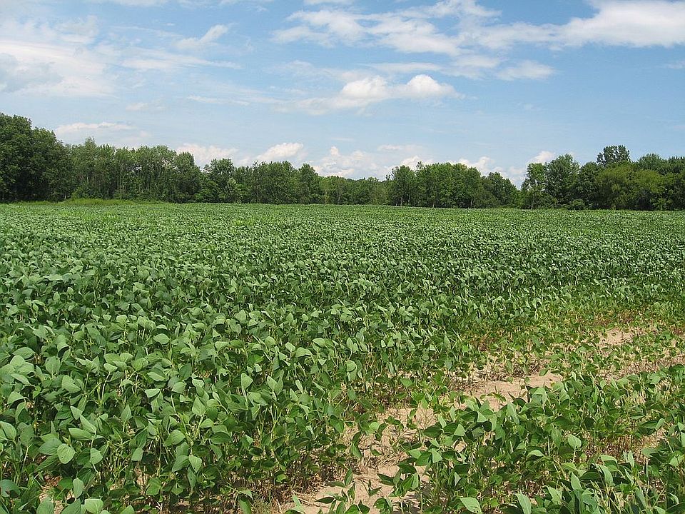 2nd image of 3188 County Road 4 Lot 2
