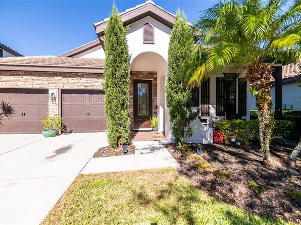 20348 Chestnut Grove Dr, Tampa, FL 33647