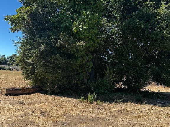 3rd image of 5011 Del Rio Rd