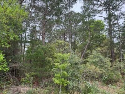 7117 Snug Waters Rd, Navarre, FL, 32566