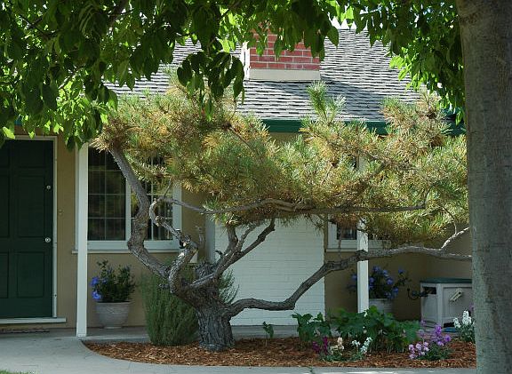 2nd image of 1648 Los Padres Blvd