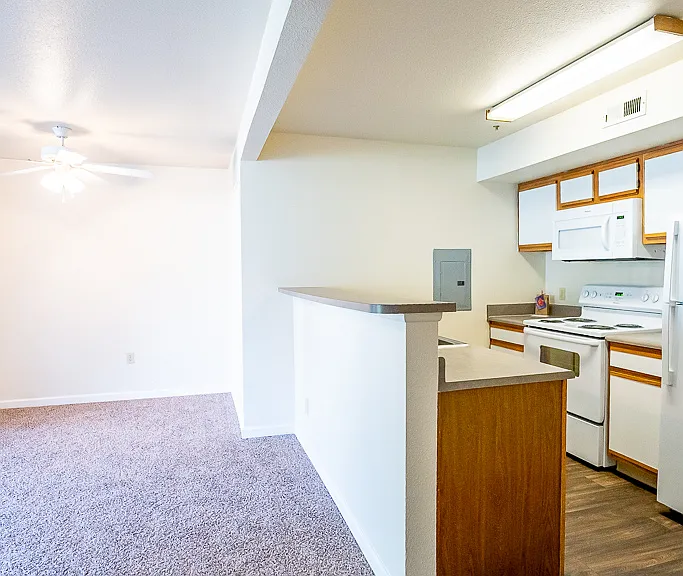 Kitchen/Living Room
