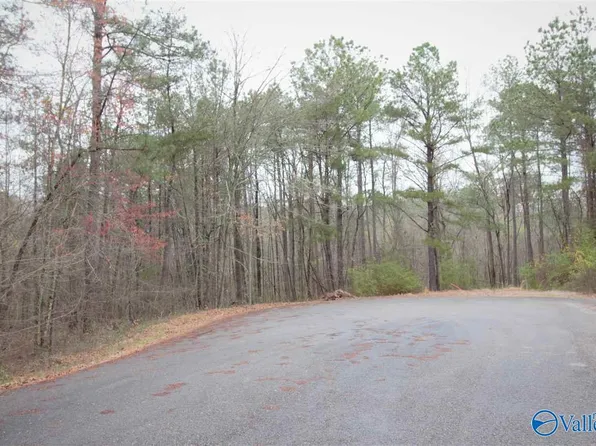 1 Hill St, Centre, AL 35960