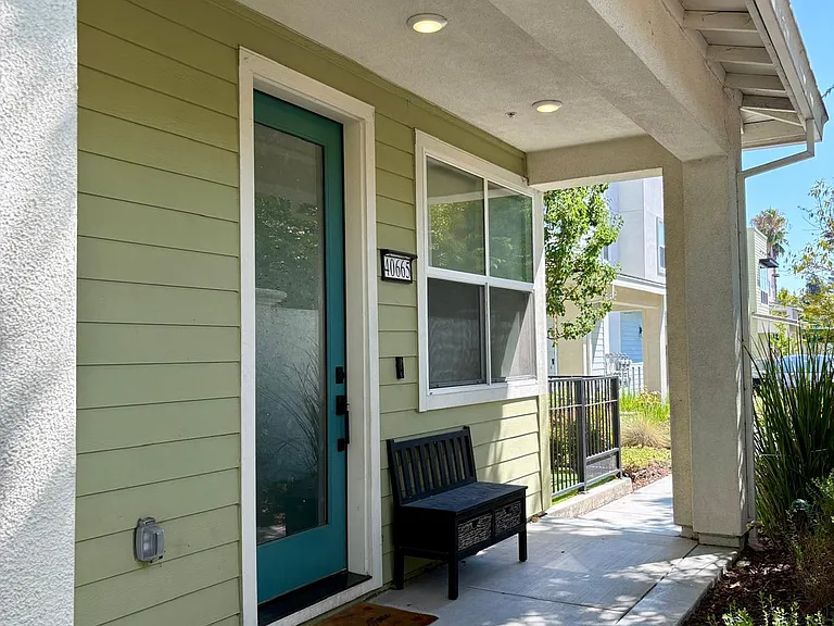 40665 Squill Cmn — Photo 25