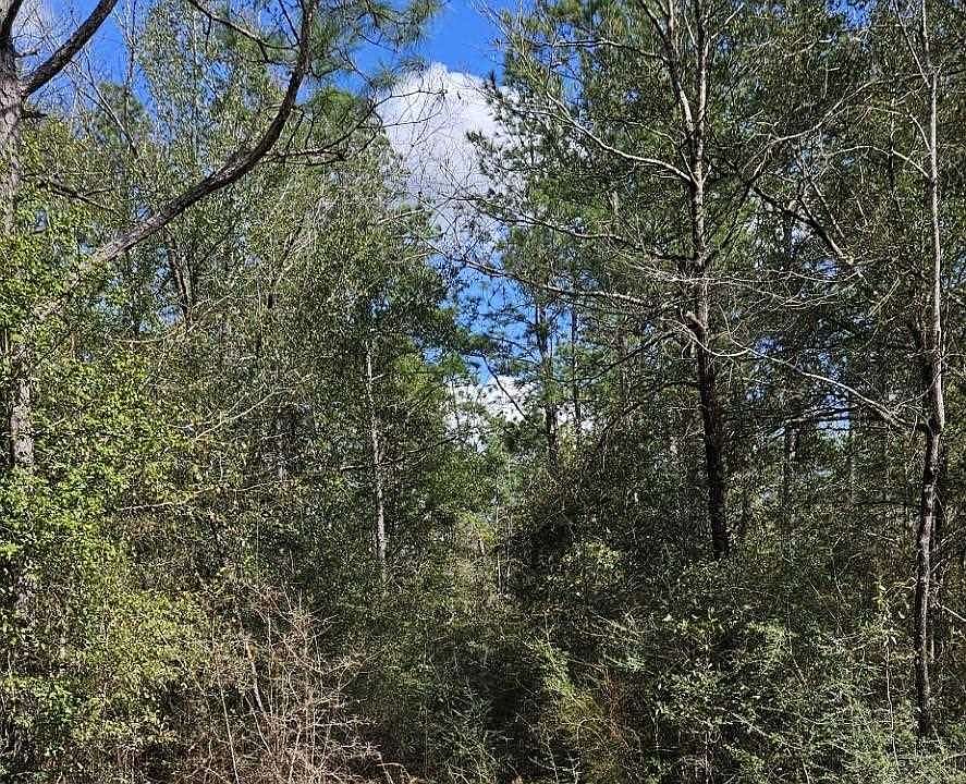 2nd image of 2508 Pleasant Grove Rd