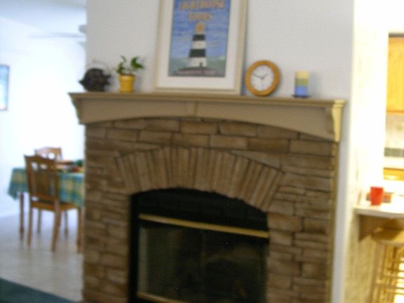 Wood burning Fireplace