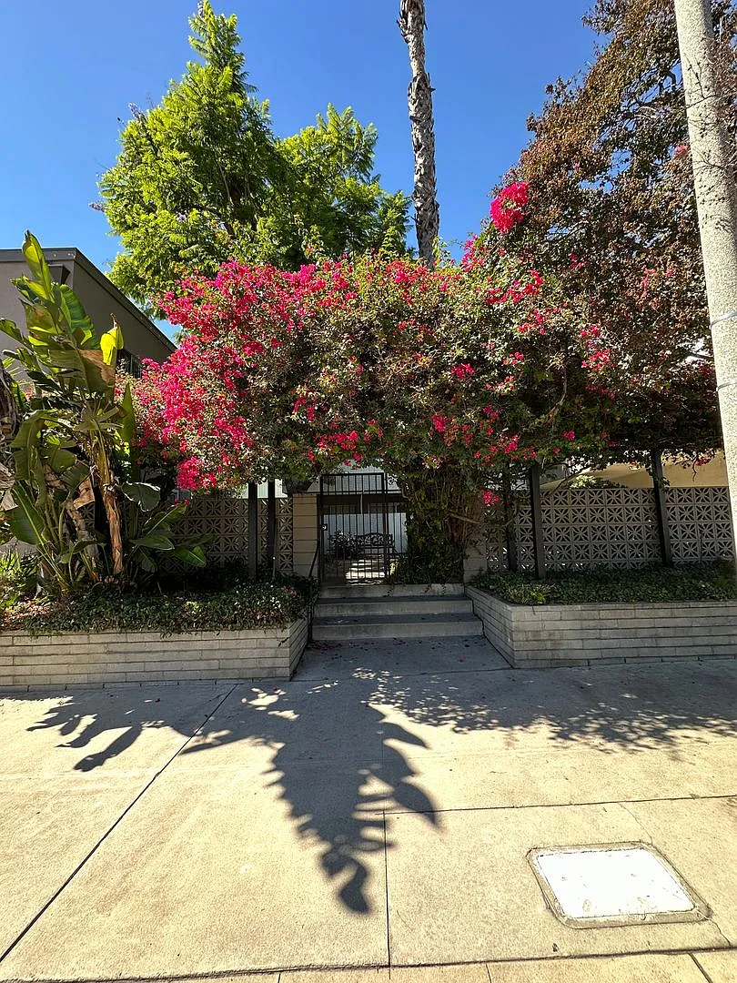 10805 Camarillo Street — Photo 1