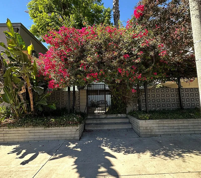 10805 Camarillo St