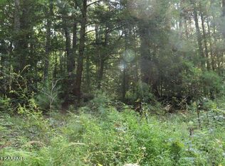 0 Boiling Springs Rd, Vonore, TN 37885