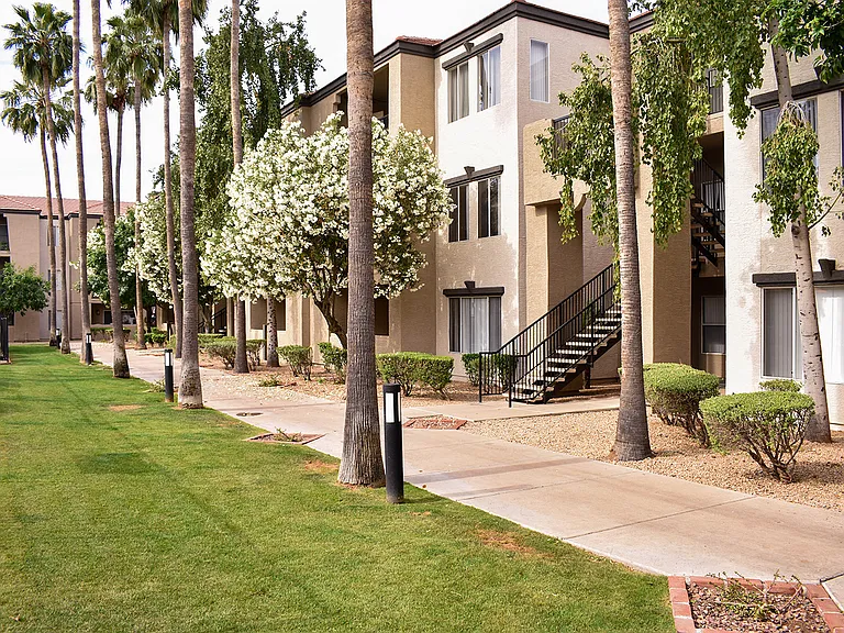 Tree lined sidewalks leading through community
