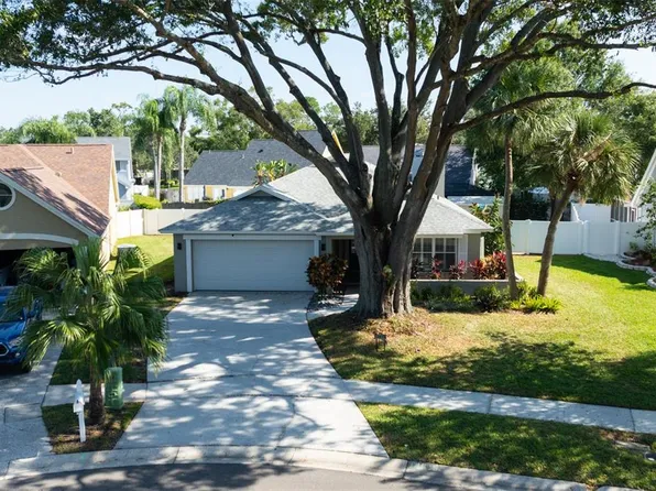 14515 Clifty Ct, Tampa, FL 33624