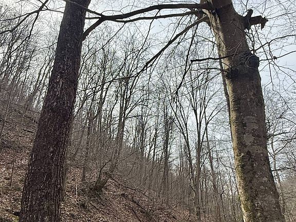 3rd image of 0 Pete Hollow Rd