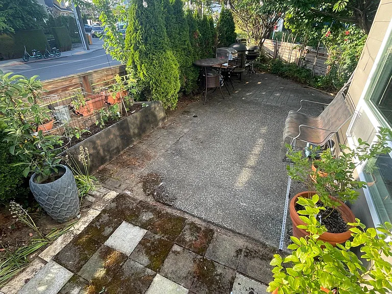 patio/backyard in the summer